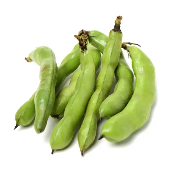 Broad beans on white background