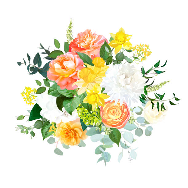 ilustrações de stock, clip art, desenhos animados e ícones de yellow daffodils, orange ranunculus, coral rose, white hydrangea and chrysanthemum - hydrangea white flower flower bed