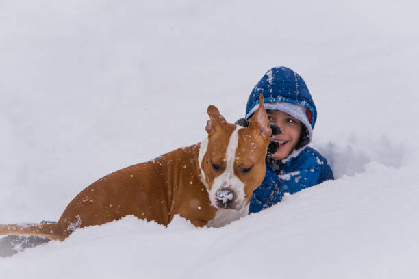 Kid Plays with his dog in deep snow, winter