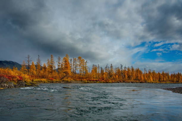 istock Tributaries of the Kolyma river 1134667715