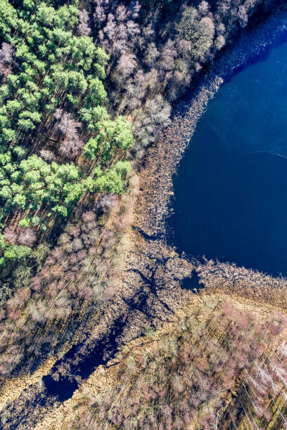 istock Flying above stunning lake and forest, Poland 1134667868
