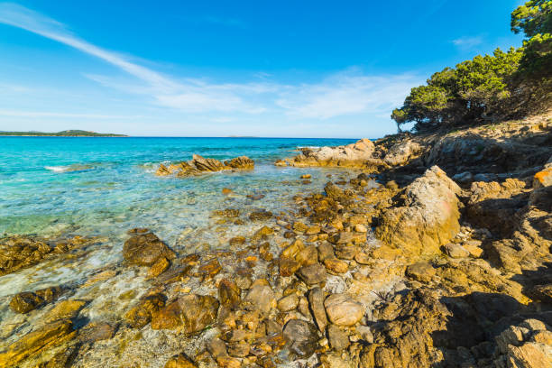 istock Rena Bianca rocky shore in Sardinia 1134668149