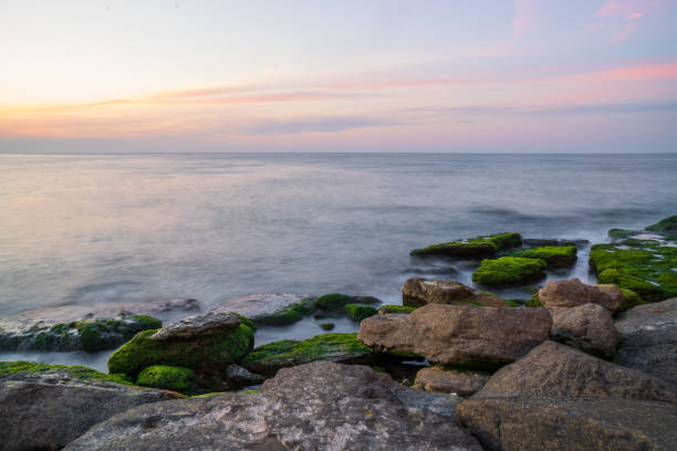 istock Colorful sea shore with green algae with long exposure water at sunset time 1134670291