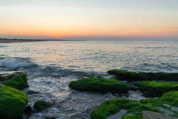 istock Colorful sea shore with green algae, splashing waves 1134670950