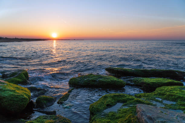 istock Colorful sea shore with green algae, splashing waves 1134671051