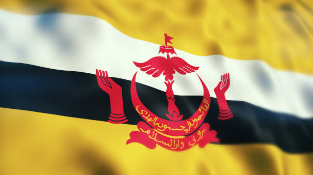 ブルネイの旗 - brunei flag ストックフォトと画像