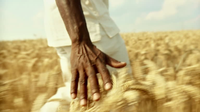 HD SLOW-MOTION: African Man Touching Wheat