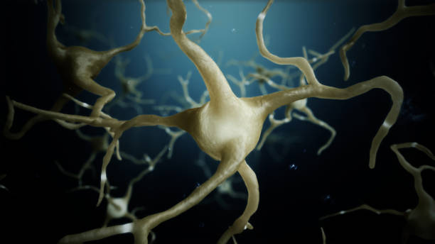 istock 3d render Neuron cells connections world abstract 1134680834