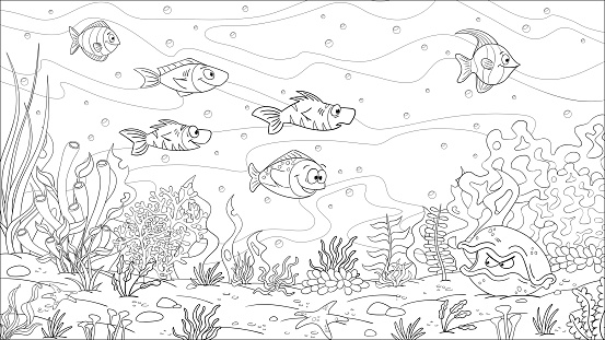 Coloring book underwater landscape. Hand draw vector illustration with separate layers.