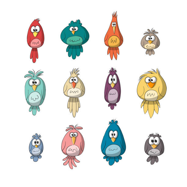 ilustrações de stock, clip art, desenhos animados e ícones de collection of funny birds - funny bird