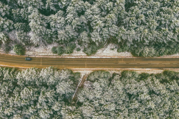 istock High Angle View Of Road Amidst Trees Growing In Forest During Winter 1134688543