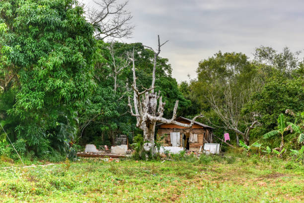 istock Vinales, Cuba Farm House 1134696754