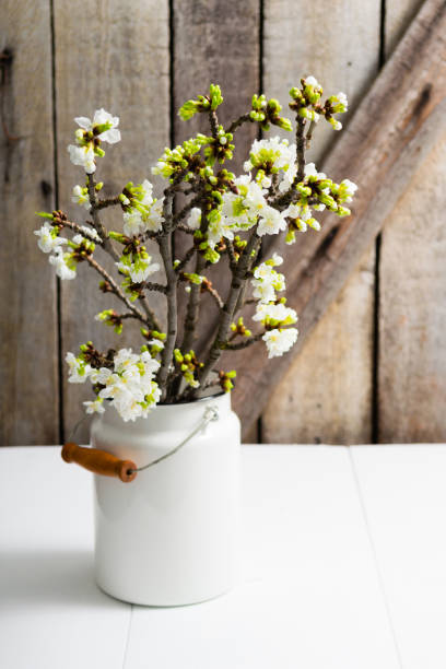 istock Cherry flowers bunch home decoration 1134697150