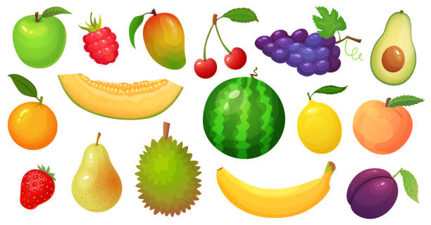 мультфильм фрукты. плоды манго, ломтик дыни и тропический банан. малиновые ягоды, арбуз и яблочный вектор иллюстрации - plum stock illustrations