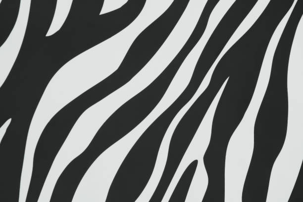 istock Colorful texture black and white in seamless stripes of zebra patterns on concrete wall for background 1134703011