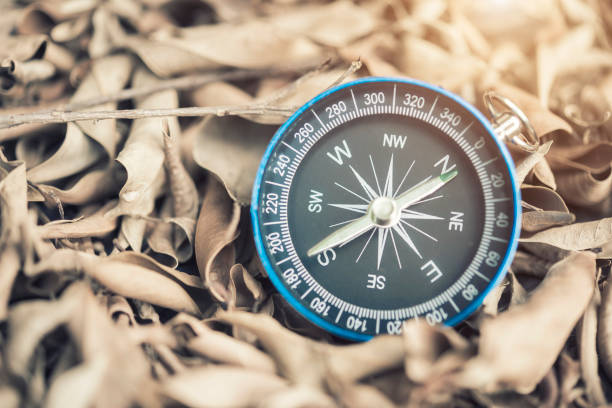 istock Compass on dry leaves with light. Instrument for determining directions placed. Travel background concept. 1134703502