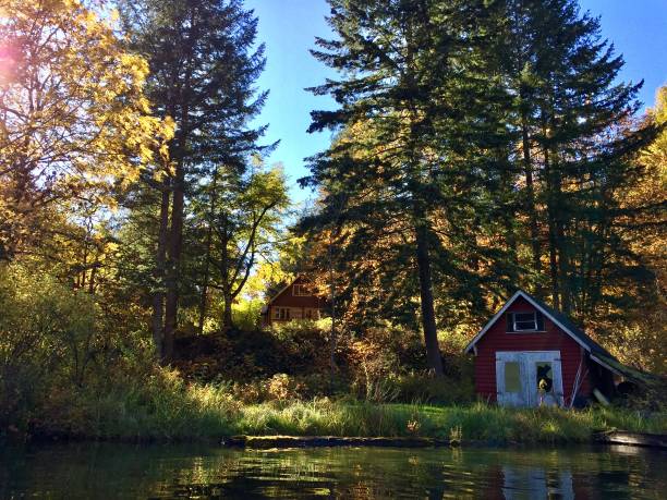 istock Lakeview Autumn moment 1134705679