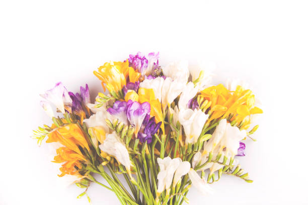 istock Bouquet flowers on background 1134707176