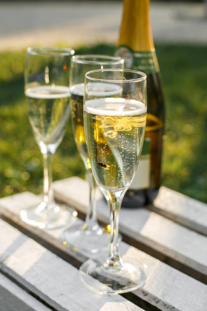 istock Glasses with champagne on green blurred background. Outdoors picnic weekends. 1134707536