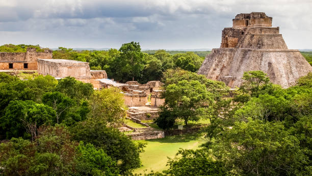 A beautiful landscape of the Pyramid of the Magician in the Mayan archeological site of Uxmal in southern Mexico Uxmal, Mexico, May 30 - Through the ancient Mayan city of Uxmal, 80 km from Merida, capital of the Mexican state of Yucatan. Proclaimed a World Heritage Site in 1996, Uxmal was founded in the 6th century AD by the Puuc civilization and became one of the major centers of worship in the region. Immersed in the Yucatan rain forest and symbol of Mayan culture, Uxmal was discovered in 1838 by the French archaeologist Jean Frederic Waldeck. In the picture a panoramic view of the Pyramid of the Fortune-teller and the Governor Palace. maya temple stock pictures, royalty-free photos & images