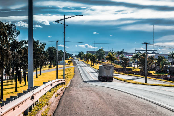 BR-163-Lucas do Rio Verde, Mato Grosso, MT, Brazil ENG: Palm tree on the stretch of highway BR-163 through the city of Lucas do Rio Verde, Mato Grosso, MT, Brazil.
PT-BR: Palmeira no trecho da rodovia BR-163 pela cidade de Lucas do Rio Verde, Mato Grosso, MT, Brasil. indigo truck stock pictures, royalty-free photos & images