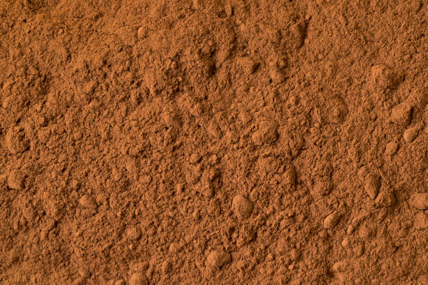 istock Cocoa powder close up 1134710727