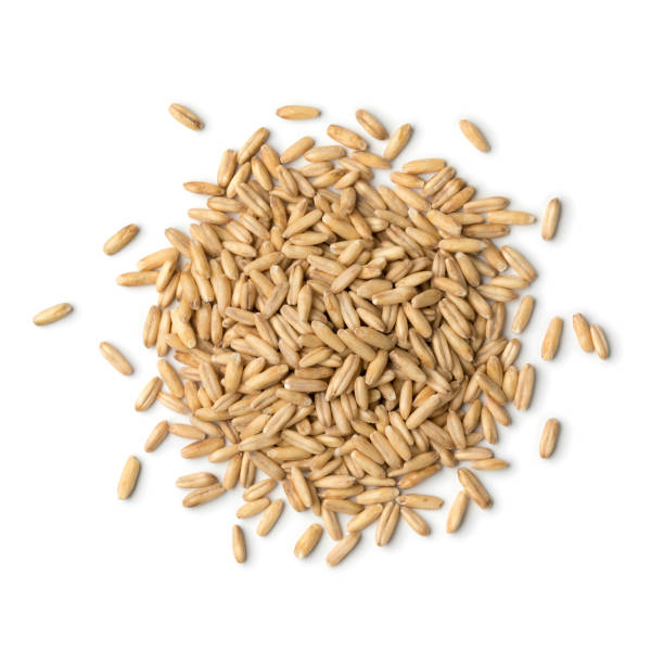 istock Heap of organic oat seeds 1134710819