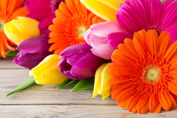 다양 한 꽃과 나무 배경의 꽃다발 - bouquet tulip greeting card gerbera daisy 뉴스 사진 이미지