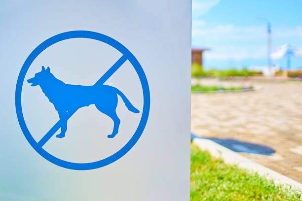 istock Dog prohibition sign. 1134712394