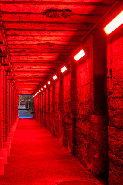 istock Old industrial building tunnel doorway illuminated at night 1134714548