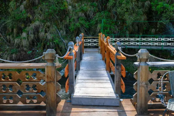 Photo of Wooden carved bridge in Chinese style on a river in a green forest