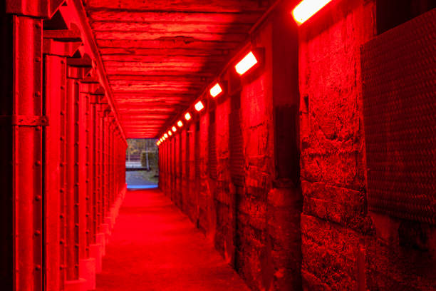 istock Old industrial building tunnel doorway illuminated at night 1134714648