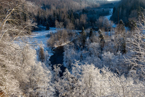 istock frozen winter landscape with forests and fields covered in snow 1134715944