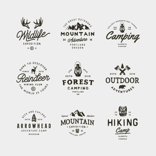 ilustrações de stock, clip art, desenhos animados e ícones de set of vintage wilderness icons. hand drawn retro styled outdoor adventure emblems. vector illustration - forest tree nature wilderness area