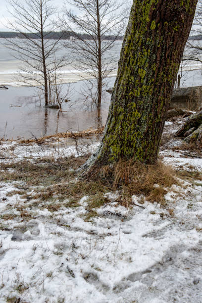 istock frozen bodies of water in deep winter under snow 1134716646