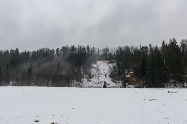 istock frozen winter landscape with forests and fields covered in snow 1134716694