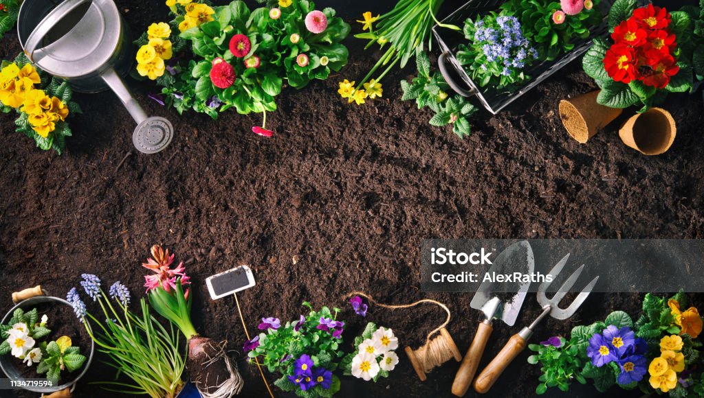 Herramientas de jardinería y flores en el suelo - Foto de stock de Jardín privado libre de derechos