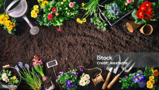 Herramientas De Jardinería Y Flores En El Suelo Foto de stock y más banco de imágenes de Jardín privado - Jardín privado, Jardinería, Primavera - Estación