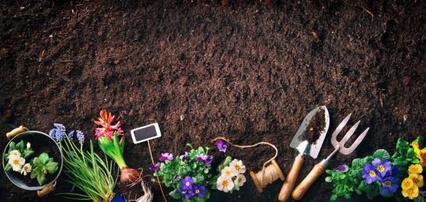 istock Gardening tools and flowers on soil 1134719599