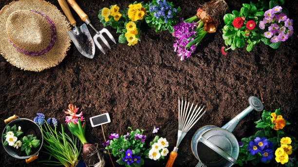 istock Gardening tools and flowers on soil 1134719606