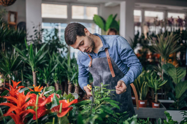 istock Young male florist 1134720244