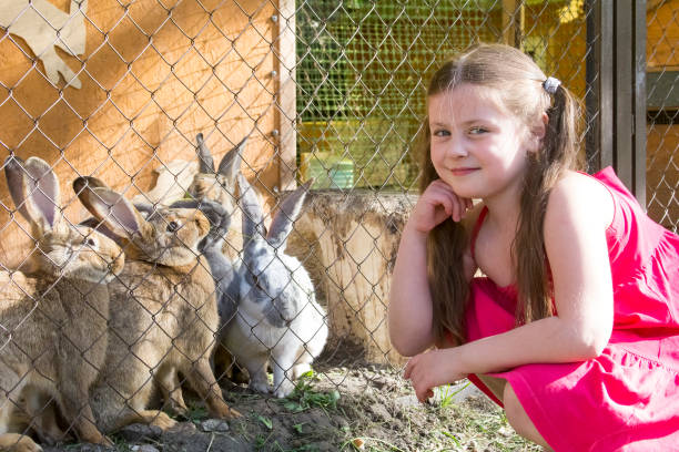 istock a girl and rabbits 1134730854
