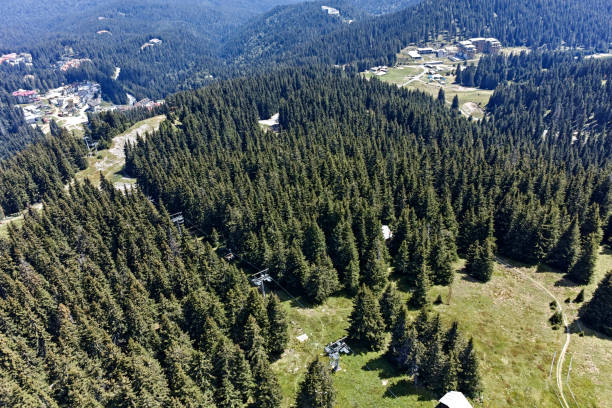 istock Landscape of Rhodope Mountains from Snezhanka peak, Smolyan Region, Bulgaria 1134731451
