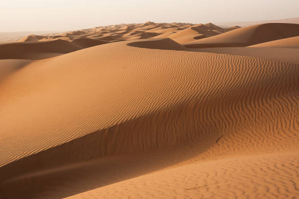 istock Dunes of the Wahiba Sand Desert at dawn (Oman) 1134735032