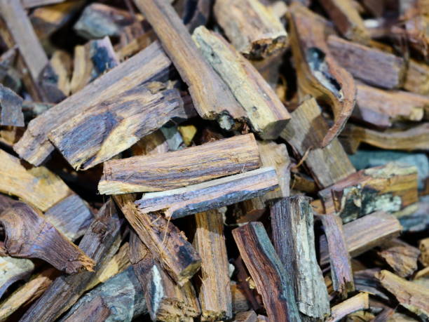 istock Heap of dry turmeric root 1134735698