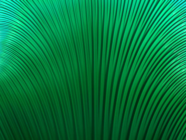 istock abstract fractal background with bright green smooth lines 1134743082