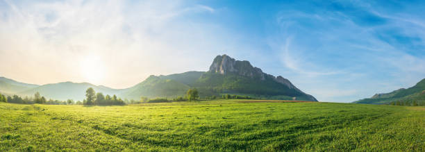 istock panorama of countryside at sunrise 1134746105