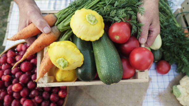 органические овощи на местном фермерском рынке - multi colored vegetable tomato homegrown produce стоковые фото и изображения