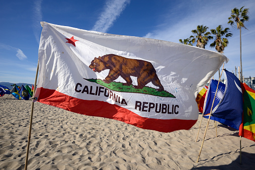 California Flag on the beach promoting world peace. Other countries of the world are on display in the background.