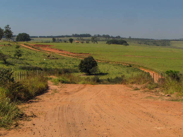 istock Country road and dust 1134753516